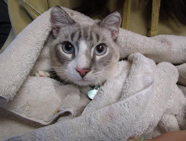 Carousel Slide 3: One of our patients post-surgery